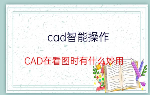 cad智能操作 CAD在看图时有什么妙用？